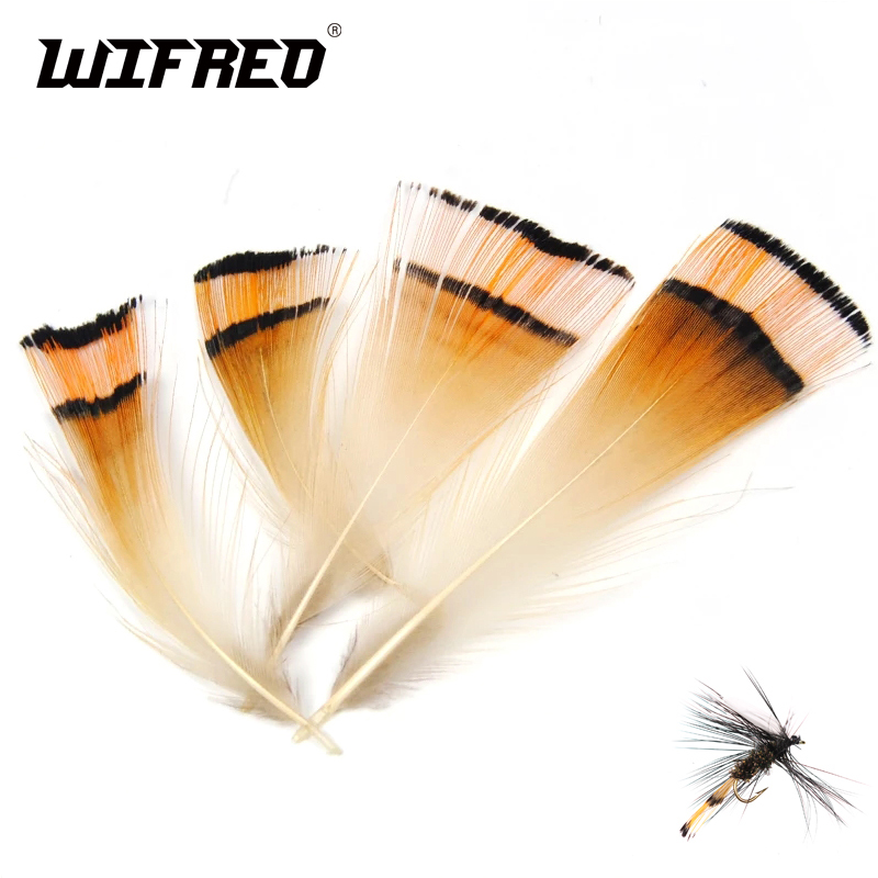 Fishing Equipment Brands - 50PCSธรรมชาติสีGoldenไก่ฟ้าหัวCrest Feather Fly Tying Coachman TaillingวัสดุWifreoยี่ห้อ